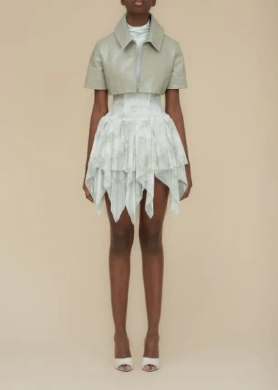 Contessa Mills Bella Printed Piquet Tulle Dress In Green