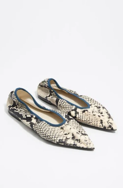 Bimba Y Lola Pointed Toe Ballerina In Animal Print