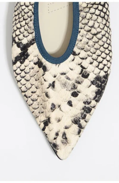 Bimba Y Lola Pointed Toe Ballerina In Animal Print