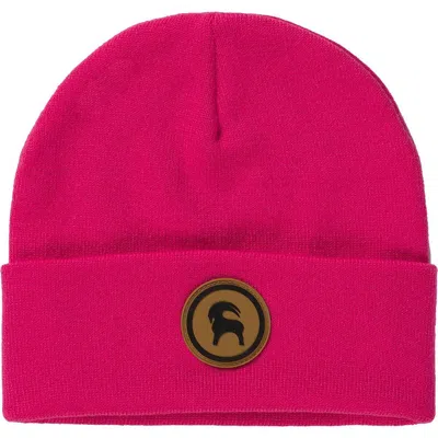 Backcountry Patch Goat Beanie In Pink