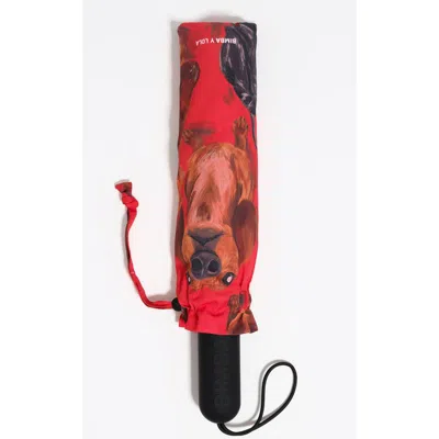 Bimba Y Lola Dachshund Umbrella In Red
