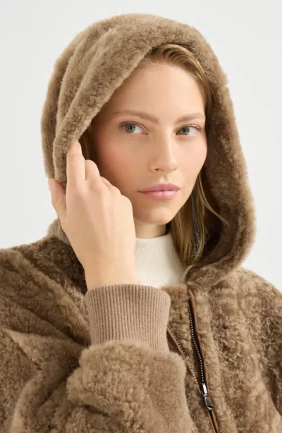 Brunello Cucinelli Fuzzy Shearling Outerwear Jacket In Brown