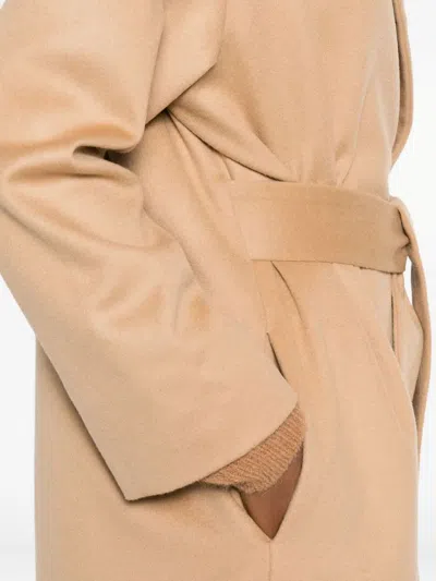 Dondup Belted Lapels Coat In Brown