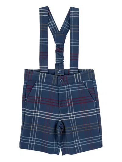 Knot Booker Checked Shorts In Blue