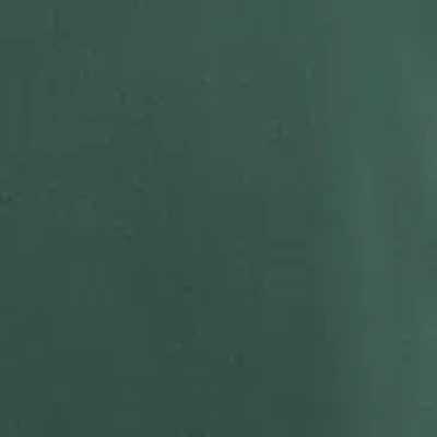 Aspesi Overshirt Glue In Nylon Imbottita - Verde Ingles In Green