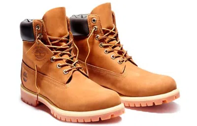 Timberland Icon 6-inch Premium Boot 'orange' In Brown