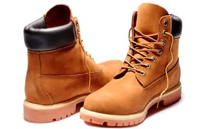 Timberland Icon 6-inch Premium Boot 'orange' In Brown