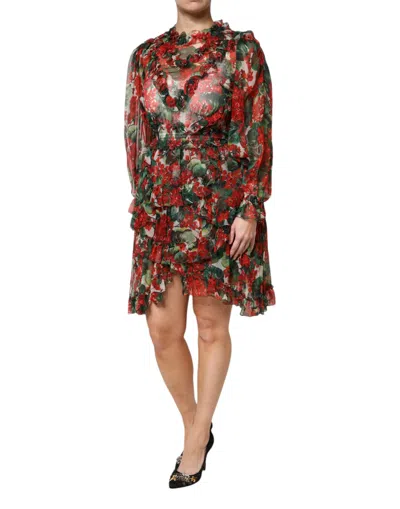 Dolce & Gabbana Multicolor Geranium A-line Knee Length Dress