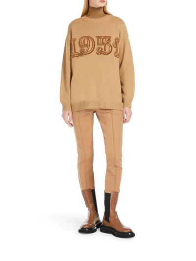 Max Mara Wool And Cashmere Pullover In Brown