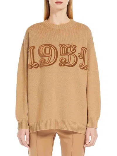 Max Mara Wool And Cashmere Pullover In Brown