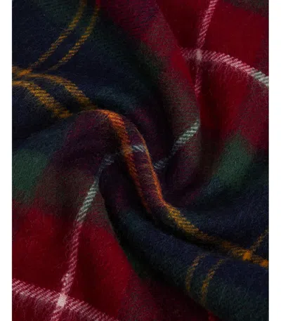 Barbour Wool Cashmere Winterberry Tartan Scarf In Multi