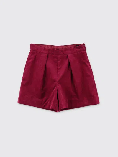 Bonpoint Shorts  Kids Color Burgundy In Burgundy
