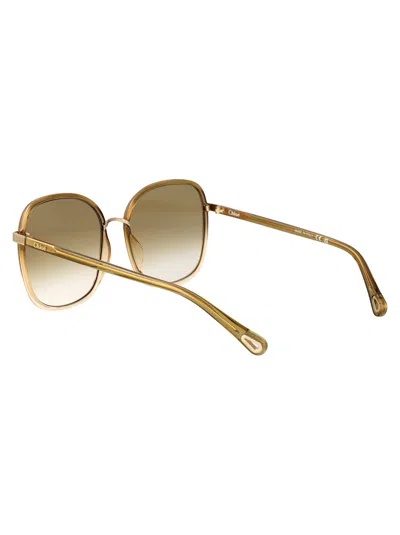 Chloé Beige-yellow-green Bio Injection Sunglasses In Burgundy