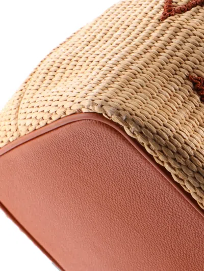 Pre-owned Louis Vuitton Neonoe Handbag Monogram Giant Raffia Mm Bucket Bag In Neutral