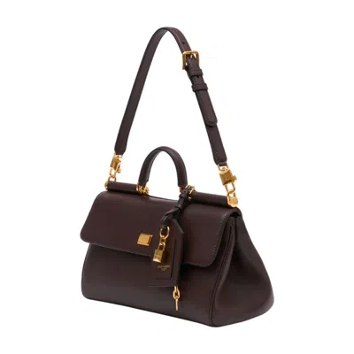Dolce & Gabbana Plonge Lux Purse In Brown