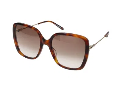 Chloé Chloe Womens Brown Ch0173s Square-frame Acetate Sunglasses In Brown