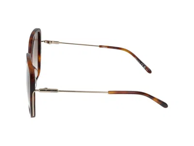 Chloé Chloe Womens Brown Ch0173s Square-frame Acetate Sunglasses In Brown