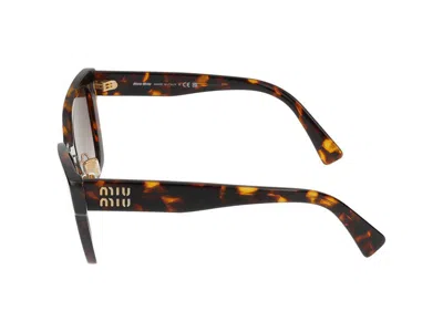 Miu Miu Sunglasses In Multi