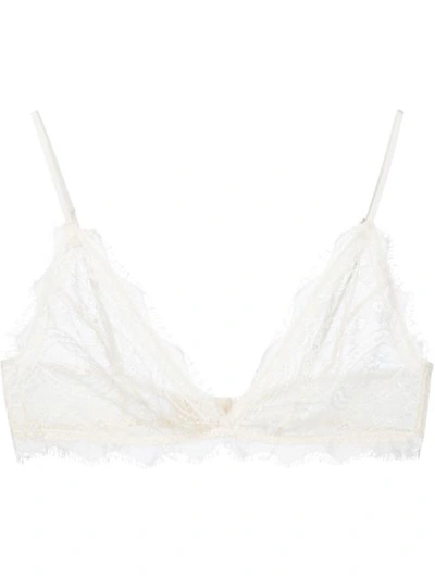 Shop Anine Bing Lace Bra With Trim In Neutrals