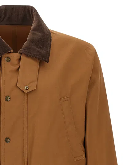 Junya Watanabe Cotton Canvas Jacket With Wool Back Insert And Corduroy Collar In Brown