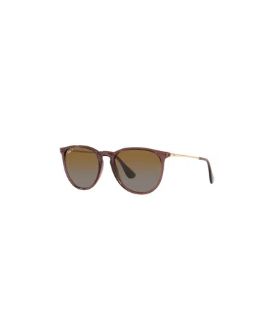 Ray Ban Ray-ban Erika Classic Sunglasses In Brown
