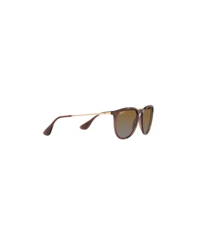 Ray Ban Ray-ban Erika Classic Sunglasses In Brown