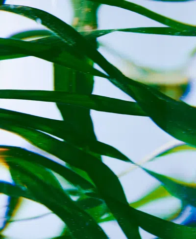 Byredo Vetyver Hand Wash, 15.2 Oz. In White