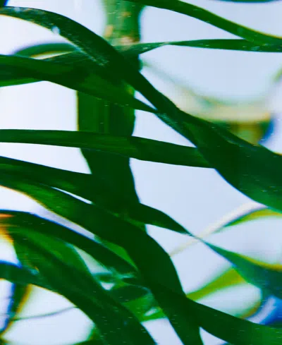 Byredo Vetyver Hand Wash Refill, 15.2 Oz. In Transparent