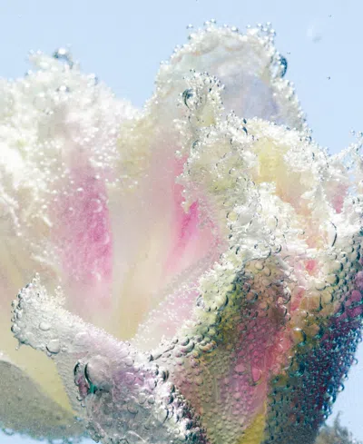 Byredo Tulipmania Hand Lotion Refill 15.2 Oz. In Transparent