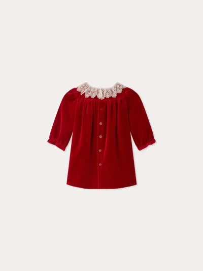 Bonpoint Jaylisa Organic Cotton Velvet Lace Collar Dress In Red