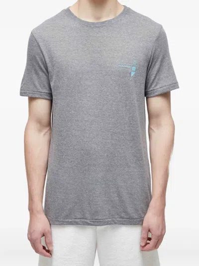 Osklen Graphic-print T-shirt In Gray