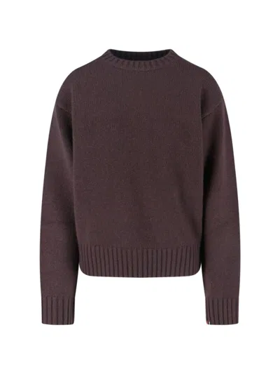 Extreme Cashmere N383 Lovely Sweater In Brown