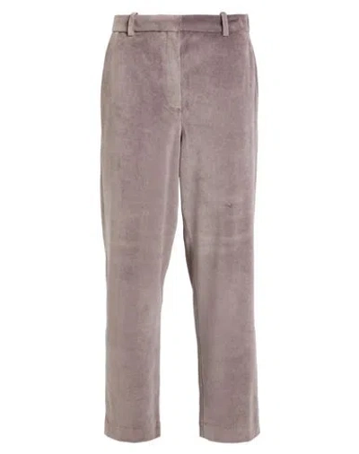 Circolo 1901 Woman Pants Taupe Size 12 Cotton, Polyester In Purple