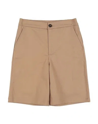 Golden Goose Toddler Boy Shorts & Bermuda Shorts Beige Size 4 Cotton, Elastane In Brown