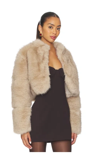 Adrienne Landau Faye Jacket In Neutral