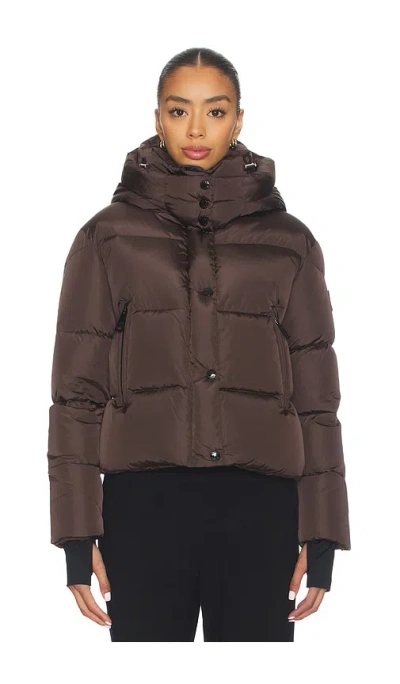 Sam Jordy Jacket In Brown