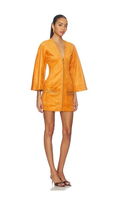 Alexis Anesa Dress In Orange