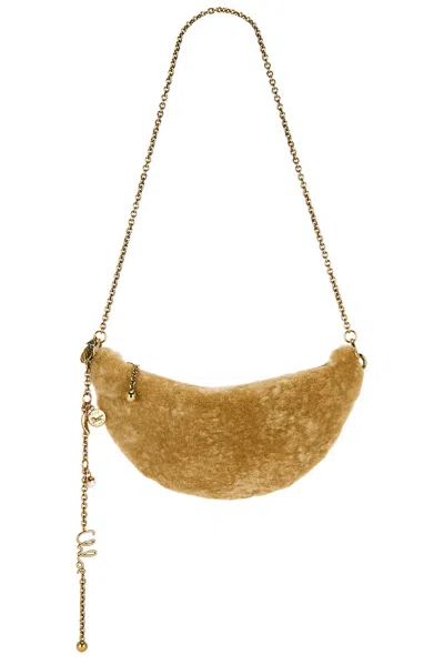 Chloé Icons Shoulder Bag In Brown