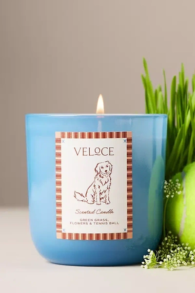 Papier X Anthropologie Fruity Veloce Retriever Glass Candle In Blue