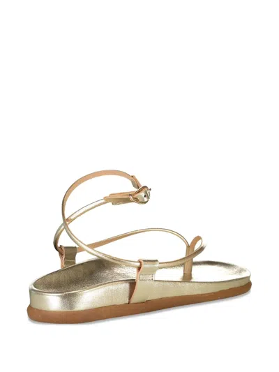 Ancient Greek Sandals Polistra Buckled Flat Sandals In Gold