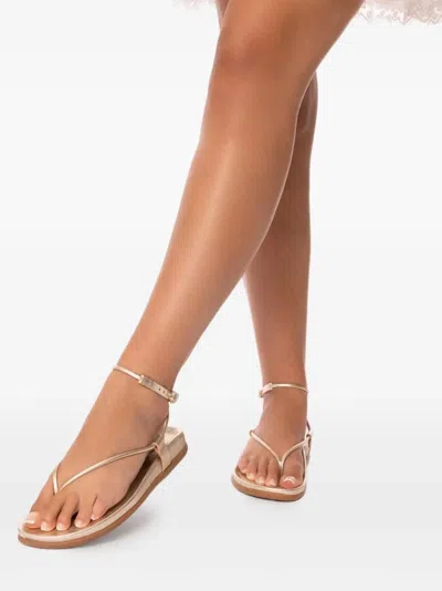 Ancient Greek Sandals Polistra Buckled Flat Sandals In Gold