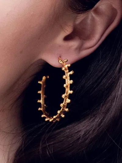 Sylvia Toledano Gipsy Beaded Hoop Earrings In Gold