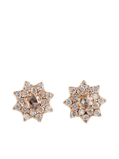 Parulina 18k Rose Gold Sherzade Diamond Earrings In Brown