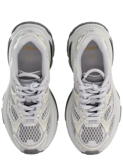 Ash Dragon Sneaker In Gray