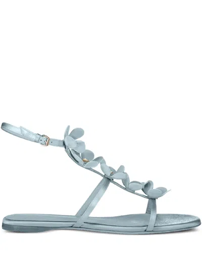 Giambattista Valli Flower-embellished Flat Sandals In Blue