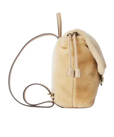 Fendi Backpack In Brown