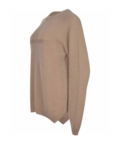 Alberta Ferretti Sweater Made Of Wool And Cashmere. In Brown