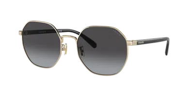 Coach Woman Sunglass Hc7147 Ch556 In Brown