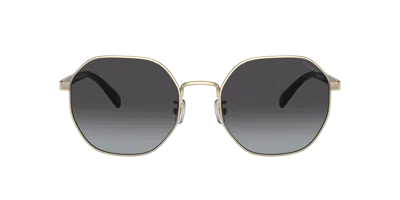 Coach Woman Sunglass Hc7147 Ch556 In Brown