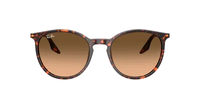 Ray Ban Ray In Brown